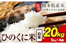 白米 ひのくに米 20kg 《7-14日以内に出荷予定(土日祝除く)》 食品 米 こめ コメ 熊本県産 ふるさと納税 お米 おこめ 熊本
