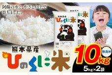 無洗米 ひのくに米 10kg 《9月下旬-11月上旬頃出荷》 食品 米 こめ コメ 熊本県産 ふるさと納税 お米 おこめ 熊本