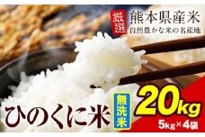 無洗米 ひのくに米 20kg 《7-14日以内に出荷予定(土日祝除く)》 食品 米 こめ コメ 熊本県産 ふるさと納税 お米 おこめ 熊本