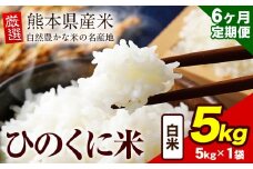【6ヶ月定期便】 白米 ひのくに米 5kg 《お申込み月の翌月から出荷開始》 食品 米 こめ コメ 熊本県産 ふるさと納税 お米 おこめ 熊本