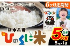 【6ヶ月定期便】 白米 ひのくに米 5kg 《11月から出荷開始》 食品 米 こめ コメ 熊本県産 ふるさと納税 お米 おこめ 熊本