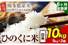 【6ヶ月定期便】 白米 ひのくに米 10kg 《お申込み月の翌月から出荷開始》 食品 米 こめ コメ 熊本県産 ふるさと納税 お米 おこめ 熊本