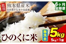 【6ヶ月定期便】 無洗米 ひのくに米 5kg 《お申込み月の翌月から出荷開始》 食品 米 こめ コメ 熊本県産 ふるさと納税 お米 おこめ 熊本