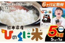 【6ヶ月定期便】 無洗米 ひのくに米 5kg 《お申込み月の翌月から出荷開始》 食品 米 こめ コメ 熊本県産 ふるさと納税 お米 おこめ 熊本