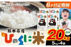 【6ヶ月定期便】 白米 ひのくに米 20kg 《お申込み月の翌月から出荷開始》 食品 米 こめ コメ 熊本県産 ふるさと納税 お米 おこめ 熊本