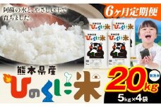 【6ヶ月定期便】 無洗米 ひのくに米 20kg 《お申込み月の翌月から出荷開始》 食品 米 こめ コメ 熊本県産 ふるさと納税 お米 おこめ 熊本