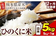 【12ヶ月定期便】 白米 ひのくに米 5kg 《お申込み月の翌月から出荷開始》 食品 米 こめ コメ 熊本県産 ふるさと納税 お米 おこめ 熊本