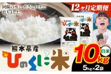 【12ヶ月定期便】 白米 ひのくに米 10kg 《お申込み月の翌月から出荷開始》 食品 米 こめ コメ 熊本県産 ふるさと納税 お米 おこめ 熊本