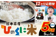 【12ヶ月定期便】 無洗米 ひのくに米 5kg 《お申込み月の翌月から出荷開始》 食品 米 こめ コメ 熊本県産 ふるさと納税 お米 おこめ 熊本