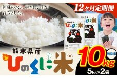 【12ヶ月定期便】 無洗米 ひのくに米 10kg 《お申込み月の翌月から出荷開始》 食品 米 こめ コメ 熊本県産 ふるさと納税 お米 おこめ 熊本