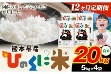 【12ヶ月定期便】 白米 ひのくに米 20kg 《お申込み月の翌月から出荷開始》 食品 米 こめ コメ 熊本県産 ふるさと納税 お米 おこめ 熊本