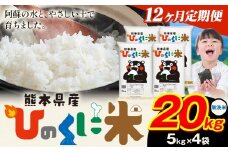 【12ヶ月定期便】 無洗米 ひのくに米 20kg 《お申込み月の翌月から出荷開始》 食品 米 こめ コメ 熊本県産 ふるさと納税 お米 おこめ 熊本