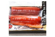奥阿蘇の清流せせらぎセットC 木郷滝サーモン ブロック 250g×2パック