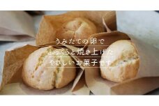 くぅ～まん チーズ饅頭（プレーン）15個入り 詰合せ お菓子 チーズ 饅頭