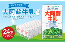 らくのうマザーズ 大阿蘇 牛乳 3.6％ 250ml×24本 成分無調整