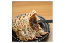 馬肉餃子 80個 餃子 ぎょうざ