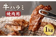 牛ハラミ たっぷり 1キロ 焼肉用 牛肉 ハラミ 冷凍 バーベキュー