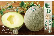 肥後グリーンメロン 2玉 (4.2～4.5kg)【2025年7月上旬～8月上旬発送予定】メロン フルーツ 果物 くだもの 熊本県産 国産