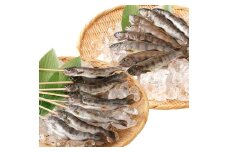阿蘇から届く かわべの湧水やまめ (内臓処理済8匹・串8匹)