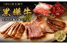 くまもと黒毛和牛 杉本本店 黒樺牛 A4~A5等級 ステーキ食べ比べコース 計1.2kg