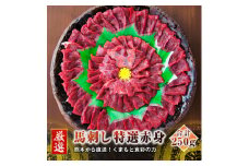 熊本 馬刺し 特選 赤身 50g×5個 計250g たれ付き