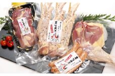 天草大王【アウトドアセット】幻の鶏 キャンプ BBQ 骨付きもも肉 500g !! 大手羽先 ソーセージ ブツ切り ミックス セット