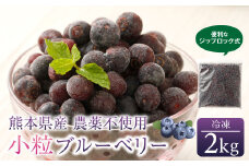 熊本産 小粒 冷凍 ブルーベリー 2kg 果物 フルーツ