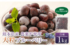 熊本産 大粒 冷凍 ブルーベリー 1kg 果物 フルーツ