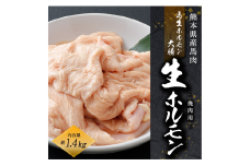 国産 馬肉 生ホルモン 焼肉用 (煮込みもOK) 約1.4kg 馬肉 冷凍