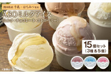 ASO ミルク アイス (阿蘇はちみつ入り) 3種 15個セット (ミルク チョコレート ストロベリー 各5個)