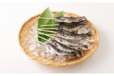 阿蘇から届く かわべの湧水やまめ (内臓処理済・串つき8匹)