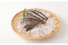 阿蘇から届く かわべの湧水やまめ (内臓処理済8匹)
