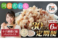 【定期便6ヶ月】阿蘇だわら 十六雑穀ごはん パックライス 160g×30パック 合計180パック 国産