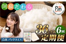 【6回定期便】 阿蘇だわら パックライス  1回あたり200g×36パック 熊本県 高森町