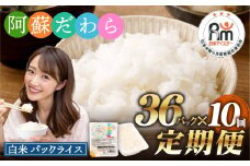 【10回定期便】 阿蘇だわら パックライス  1回あたり200g×36パック 熊本県 高森町