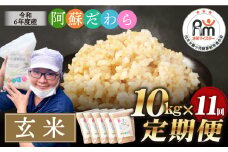 【11ヶ月定期便】阿蘇だわら（玄米）10kg（2kg×5袋） 熊本県 高森町 オリジナル米
