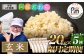 【隔月5回定期便】阿蘇だわら (玄米) 20kg (2kg×10袋)