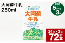 【5ヶ月毎3回定期便】大阿蘇牛乳 250ml 計72本（24本×3回） 計18L