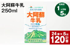【1ヶ月毎5回定期便】大阿蘇牛乳 250ml 計120本（24本×5回） 計30L