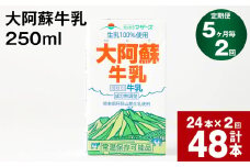 【5ヶ月毎2回定期便】大阿蘇牛乳 250ml 計48本（24本×2回） 計12L