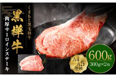 くまもと黒毛和牛 杉本本店 黒樺牛 A4~A5等級 肉厚サーロインステーキ 300g×2 計600g