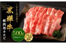 くまもと黒毛和牛 杉本本店 黒樺牛 A4～A5等級 焼肉用カルビ 500g