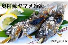 奥阿蘇 ヤマメ 80g×10匹 計800g
