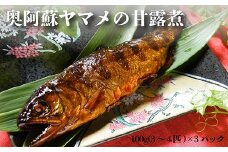 奥阿蘇 ヤマメ 甘露煮 100g×3パック 3～4匹 熊本県 高森町産