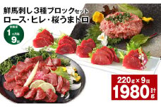 【1ヶ月毎9回定期便】鮮馬刺し3種ブロックセット (ロース・ヒレ・桜うまトロ)