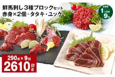 【1ヶ月毎9回定期便】鮮馬刺し 3種ブロックセット 赤身×2・タタキ・ユッケ