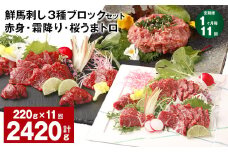 【1ヶ月毎11回定期便】鮮馬刺し 3種ブロックセット 赤身・霜降り・桜うまトロ