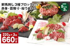 【5ヶ月毎3回定期便】鮮馬刺し 3種ブロックセット 赤身・霜降り・桜うまトロ