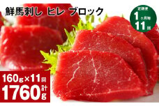 【1ヶ月毎11回定期便】鮮馬刺し ヒレ ブロック 計約1760g（約160g×11回）