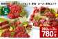 【1ヶ月毎3回定期便】鮮馬刺し 3種ブロックセット（赤身・ロース・赤身ユッケ）